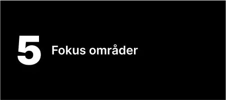 5 fokus områder