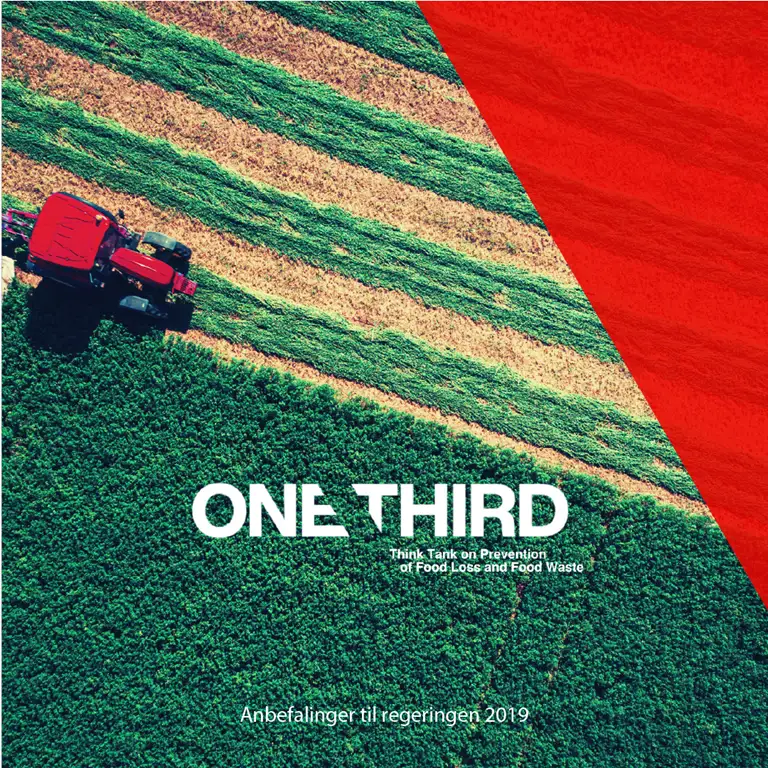 Anbefalinger til regeringen 2019