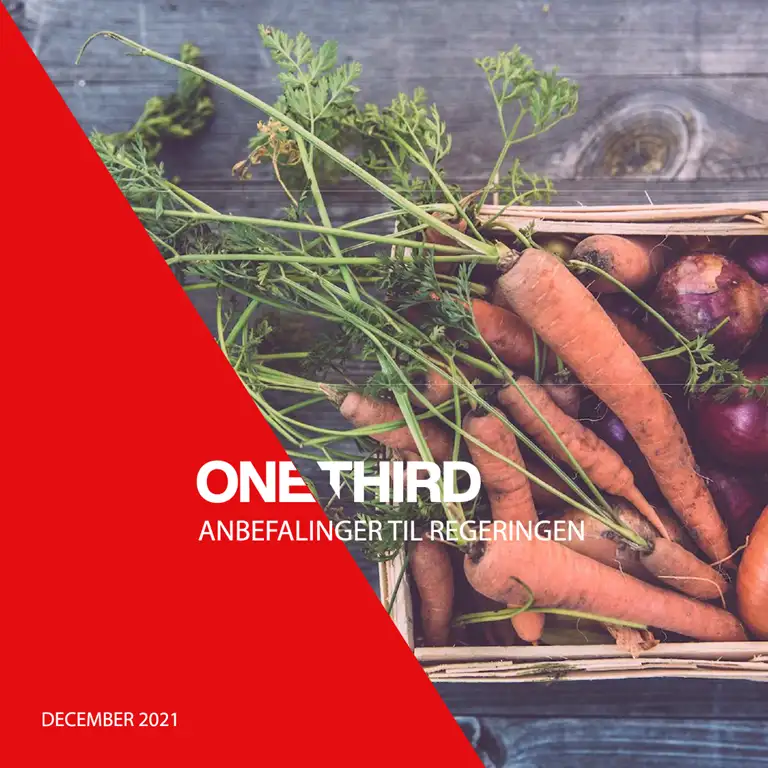 Anbefalinger til regeringen 2021