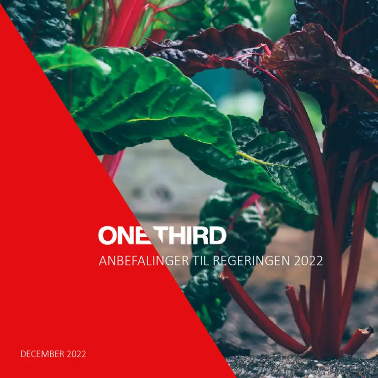 Anbefalinger til regeringen 2022