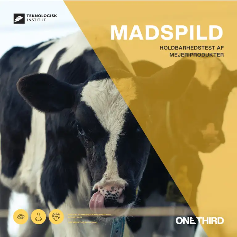 Holdbarhedstest af mejeriprodukter