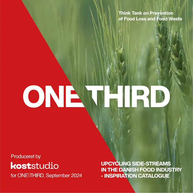 Upcycling sidestreams in the Danish food industry