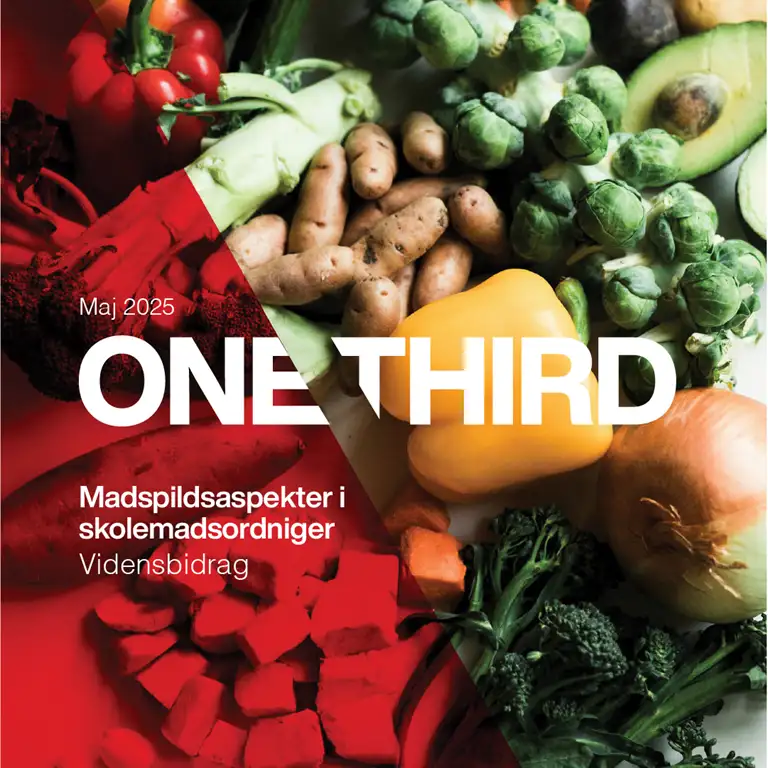Madspildsaspekter i skolemadsordninger