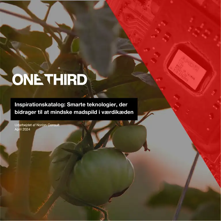 Inspirationskatalog: Smarte teknologier, der bidrager til at mindske madspild i værdikæden
