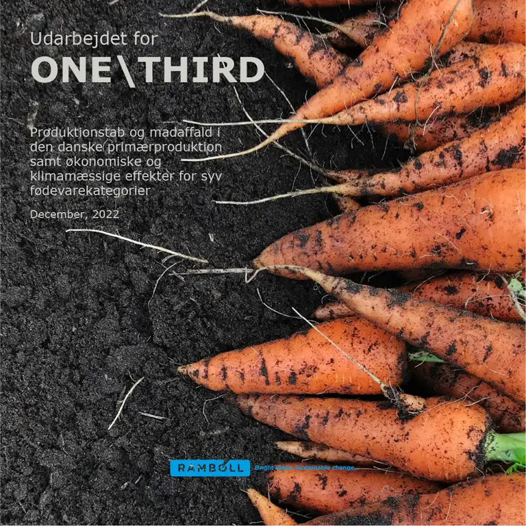 Produktionstab og madaffald i den danske primærproduktion