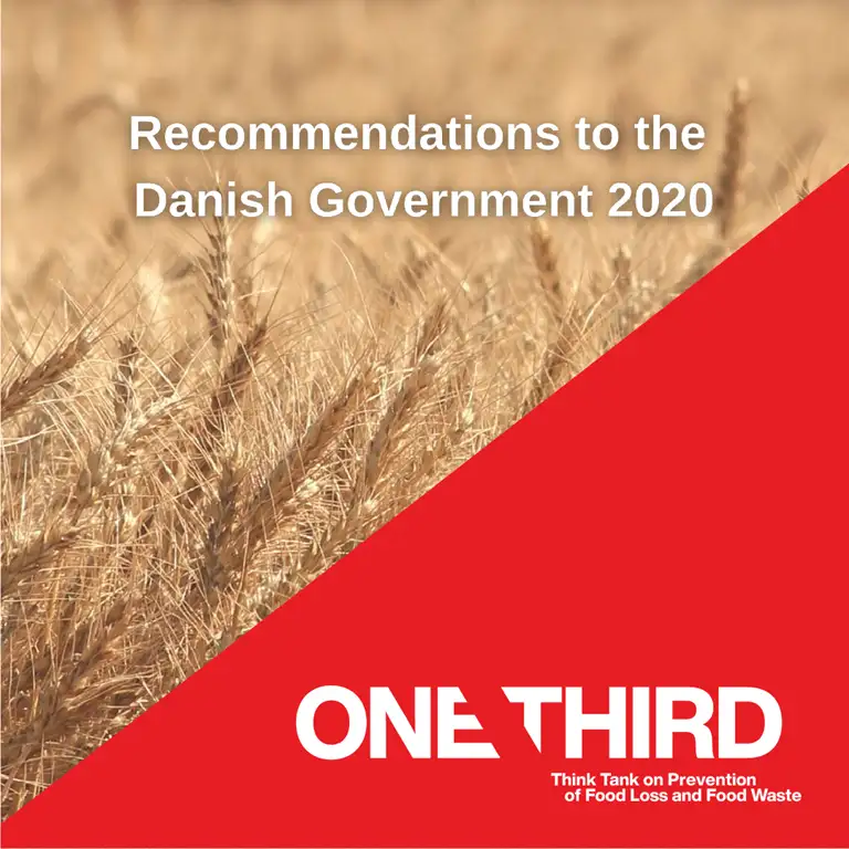 Recommendations to the Danish Government 2020