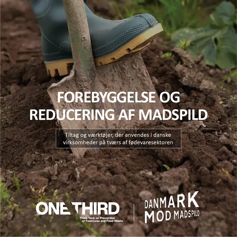 Forebyggelse og reduktion af madspild